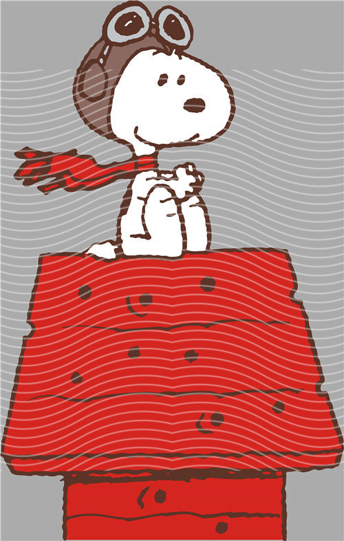 Snoopy- 686